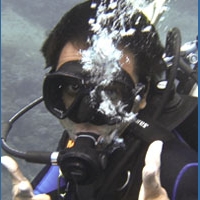 Photo of a dive trip participant Antonius Saputro